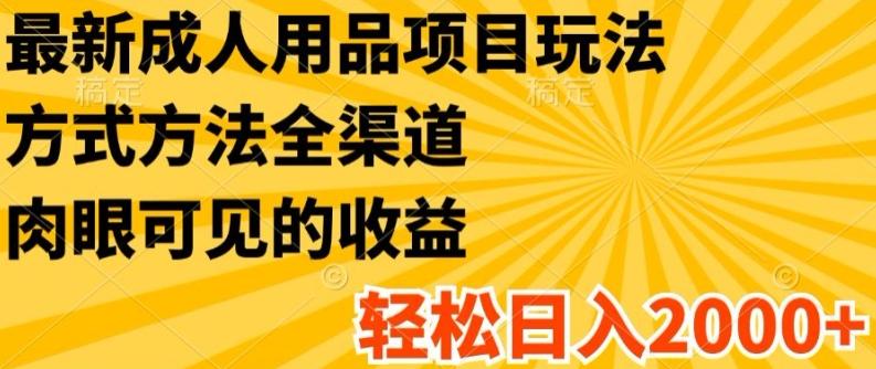最新成人用品项目玩法，方式方法全渠道，轻松日入2K+【揭秘】_就是爱分享