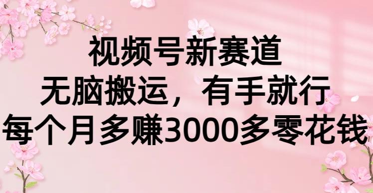 (9278期)视频号新赛道，无脑搬运，有手就行，每个月多赚3000多零花钱_就是爱分享