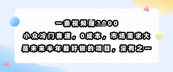 一条视频挣1k，小众冷门赛道，0成本，市场需求大，是未来半年最好做的项目，没有之一_就是爱分享