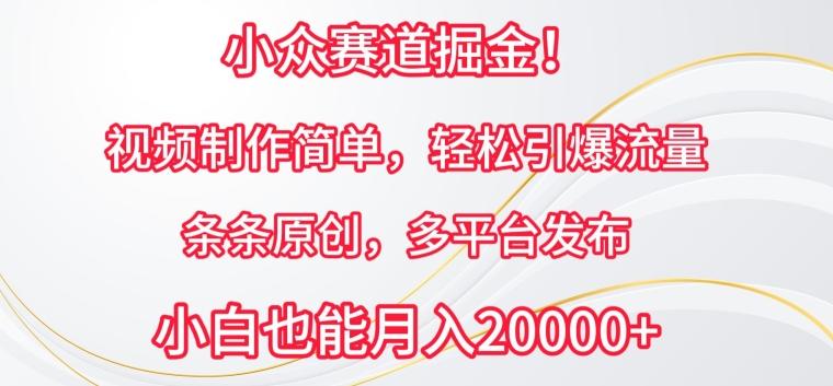 小众赛道掘金，视频制作简单，轻松引爆流量，条条原创，多平台发布【揭秘】_就是爱分享