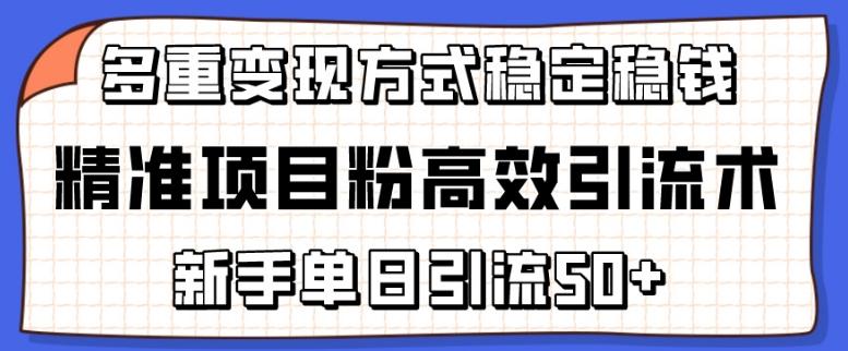 精准项目粉高效引流术，新手单日引流50+，多重变现方式稳定赚钱【揭秘】_就是爱分享
