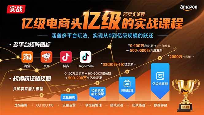 （15803期）亿级电商头部卖家的实战课程：涵盖多平台玩法，实现从0到亿级规模的跃迁_就是爱分享