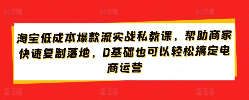淘宝低成本爆款流实战私教课，帮助商家快速复制落地，0基础也可以轻松搞定电商运营_就是爱分享