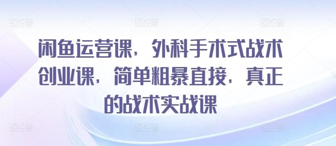 闲鱼运营课，外科手术式战术创业课，简单粗暴直接，真正的战术实战课_就是爱分享