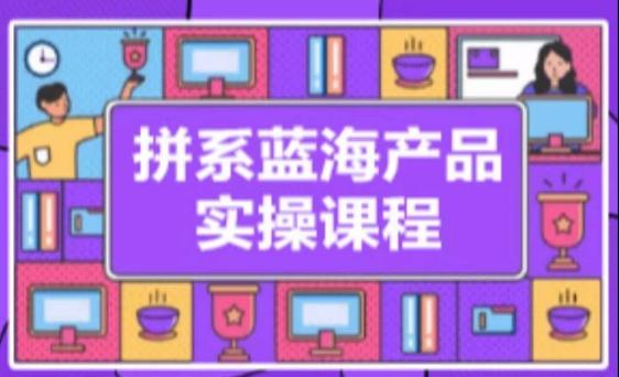 拼系冷门蓝海产品实操课程，从注册店铺到选品上架到流量维护环环相扣_就是爱分享