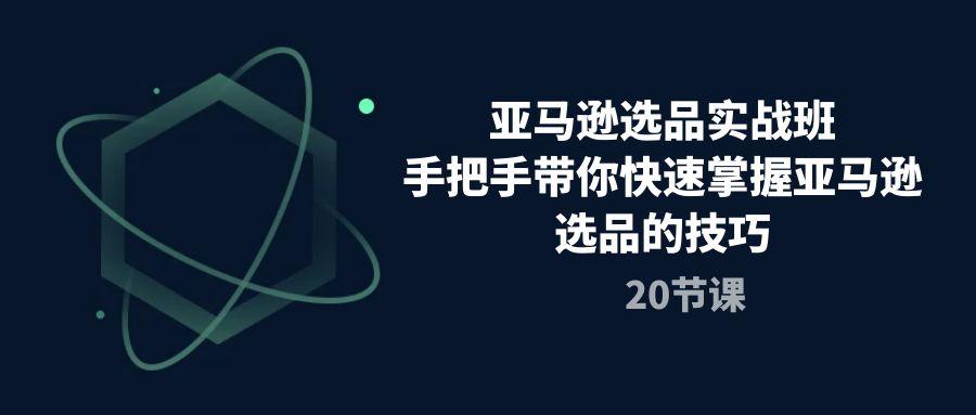亚马逊选品实战班，手把手带你快速掌握亚马逊选品的技巧(20节课_就是爱分享