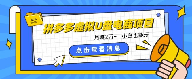 拼多多虚拟U盘电商红利项目：月赚2万+，新手小白也能玩_就是爱分享