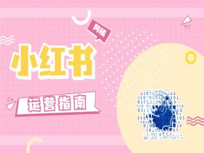 小红书运营指南，没有套路，全是经验_就是爱分享