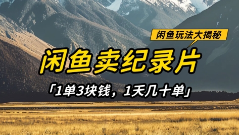 闲鱼卖纪录片1单3块钱，1天几十单，项目稳定有潜力_就是爱分享