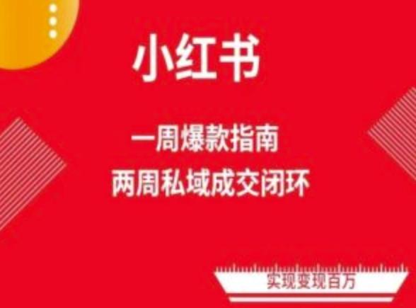 爆款小红书免费流量体系课程(两周变现)，小红书电商教程_就是爱分享