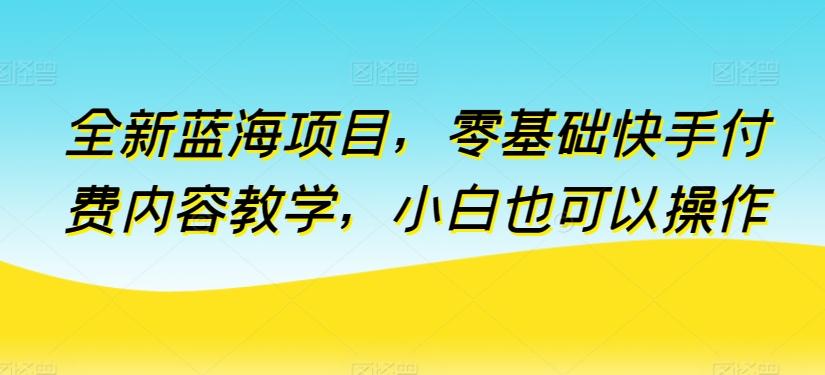 全新蓝海项目，零基础快手付费内容教学，小白也可以操作【揭秘】_就是爱分享
