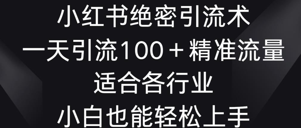 小红书绝密引流术，一天引流100+精准流量，适合各个行业，小白也能轻松上手【揭秘】_就是爱分享