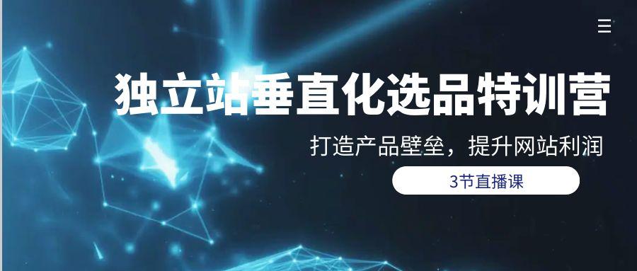 (9925期)独立站-垂直化选品训练营，打造产品壁垒，提升网站利润(3节直播课)_就是爱分享