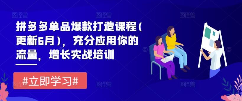拼多多单品爆款打造课程(更新6月)，充分应用你的流量，增长实战培训_就是爱分享