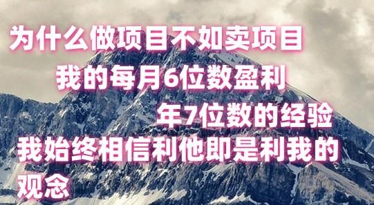 做项目不如卖项目，每月6位数盈利，年7位数经验_就是爱分享
