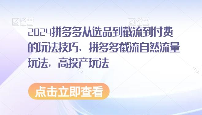 2024拼多多从选品到截流到付费的玩法技巧，拼多多截流自然流量玩法，高投产玩法_就是爱分享