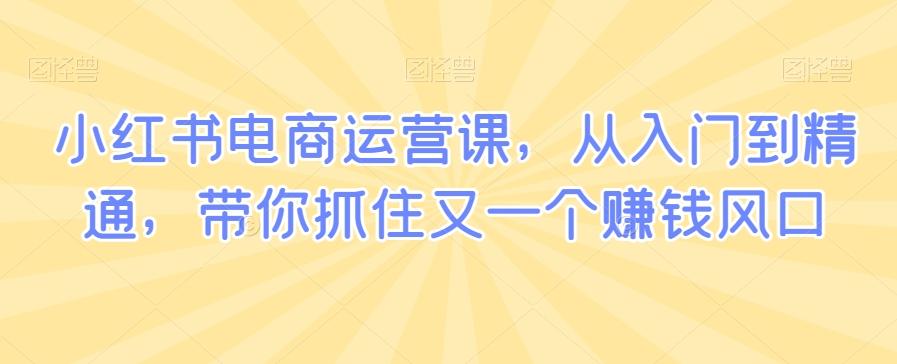 小红书电商运营课，从入门到精通，带你抓住又一个赚钱风口_就是爱分享