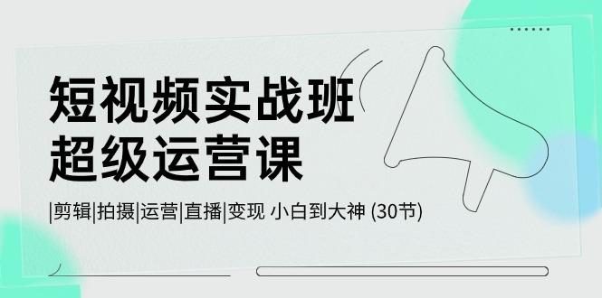 短视频实战班超级运营课 |剪辑|拍摄|运营|直播|变现 小白到大神 (30节)_就是爱分享