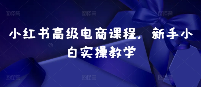 小红书高级电商课程，新手小白实操教学_就是爱分享