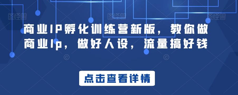商业IP孵化训练营新版，教你做商业Ip，做好人设，流量搞好钱_就是爱分享