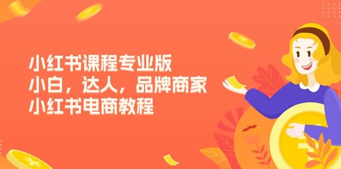 小红书课程专业版，小白，达人，品牌商家，小红书电商教程(15节_就是爱分享