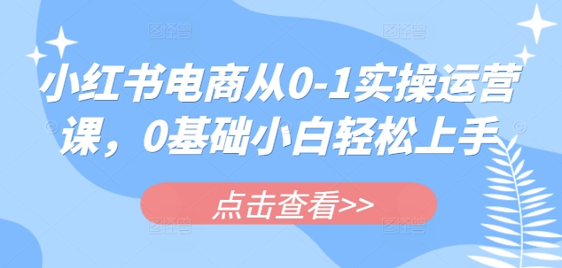 小红书电商从0-1实操运营课，0基础小白轻松上手_就是爱分享