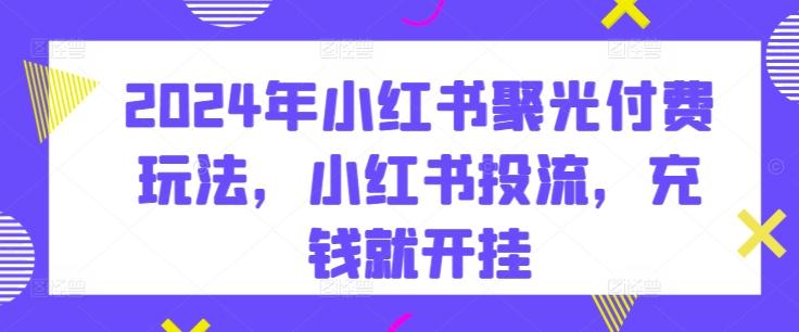 2024年小红书聚光付费玩法，小红书投流，充钱就开挂_就是爱分享