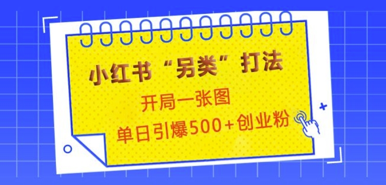 小红书“另类”打法，开局一张图，单日引爆500+精准创业粉【揭秘】_就是爱分享