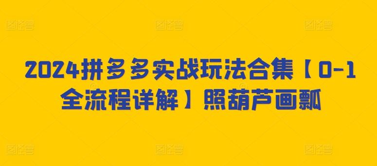 2024拼多多实战玩法合集【0-1全流程详解】照葫芦画瓢_就是爱分享