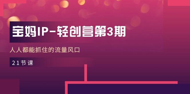 宝妈IP-轻创营第3期，人人都能抓住的流量风口(21节课_就是爱分享