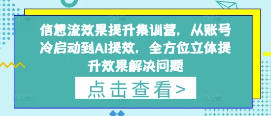 信息流效果提升集训营，从账号冷启动到AI提效，全方位立体提升效果解决问题_就是爱分享