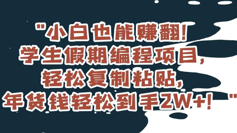 小白也能赚翻！学生假期编程项目，轻松复制粘贴，年货钱轻松到手2W+【揭秘】_就是爱分享