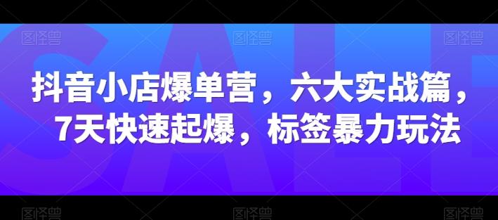 抖音小店爆单营，六大实战篇，7天快速起爆，标签暴力玩法_就是爱分享