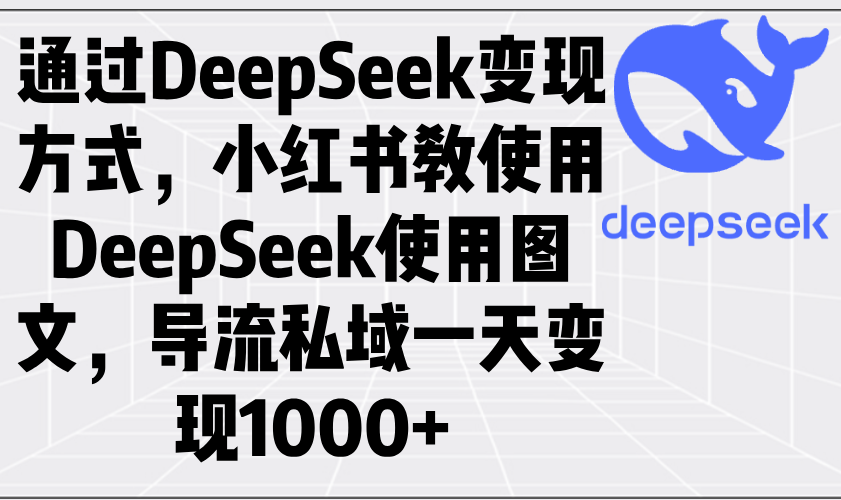 通过DeepSeek变现方式，小红书教使用DeepSeek图文，导流私域一天变现1000+_就是爱分享