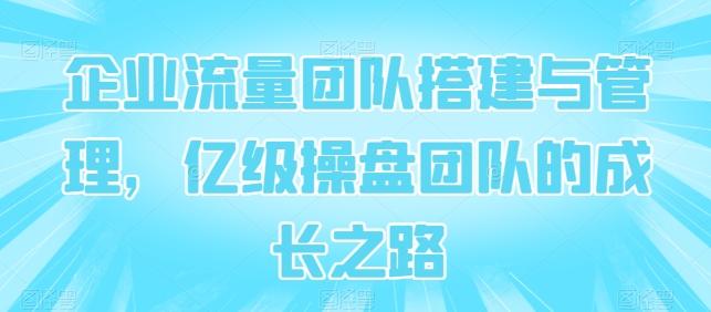 企业流量团队搭建与管理，亿级操盘团队的成长之路_就是爱分享