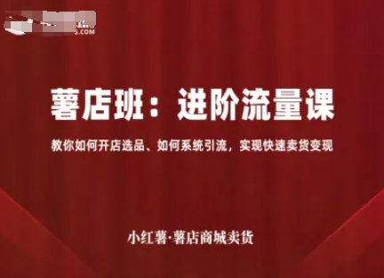 小红薯薯店商城卖货，进阶流量课，教你如何开店选品、如何系统引流，实现快速卖货变现_就是爱分享