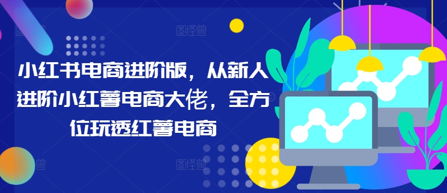 小红书电商进阶版，从新人进阶小红薯电商大佬，全方位玩透红薯电商_就是爱分享