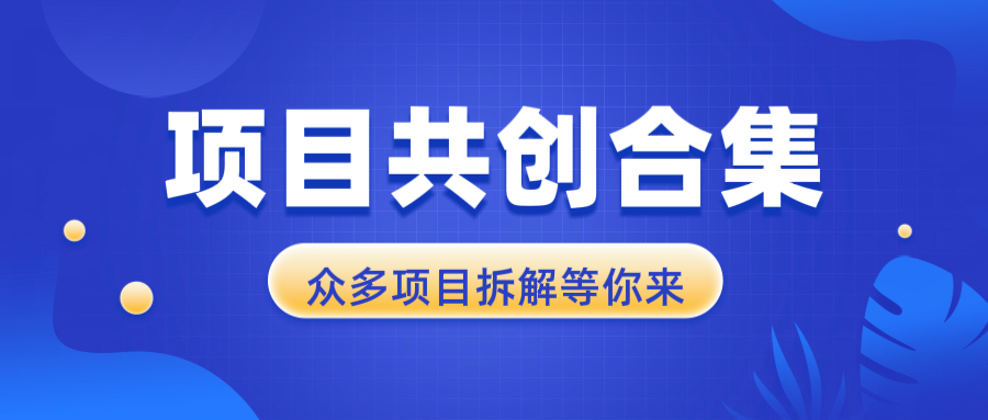 项目共创合集，从0-1全过程拆解，让你迅速找到适合自已的项目_就是爱分享
