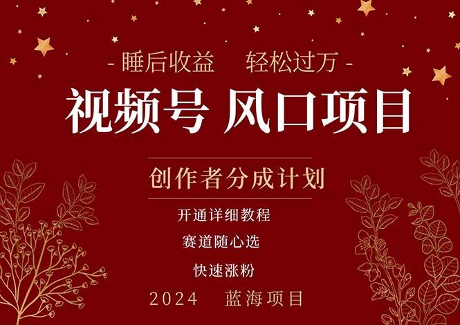 拥有睡眠收益的微信视频号大风口项目，轻松月入过万+，多赛道选择，可…_就是爱分享