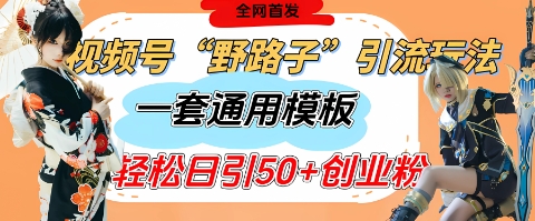 视频号“野路子”玩法，评论区疯狂截流，一套模板单日单号引流50+创业粉_就是爱分享