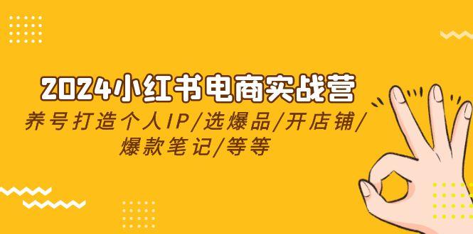 2024小红书电商实战营，养号打造IP/选爆品/开店铺/爆款笔记/等等(24节)_就是爱分享