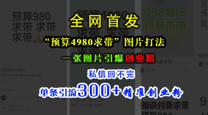 小红书“预算4980带我飞”图片打法，一张图片引爆创业粉，私信回不完，单条引流300+精准创业粉_就是爱分享