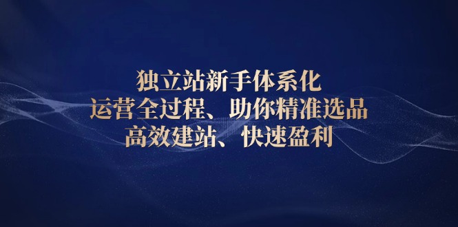 独立站新手体系化 运营全过程，助你精准选品、高效建站、快速盈利_就是爱分享