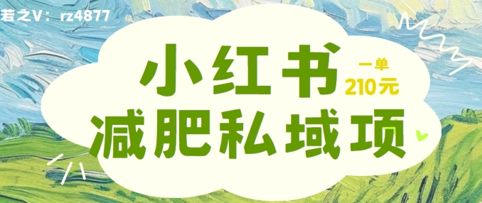 小红书减肥粉，私域变现项目，一单就达210元，小白也能轻松上手【揭秘】_就是爱分享