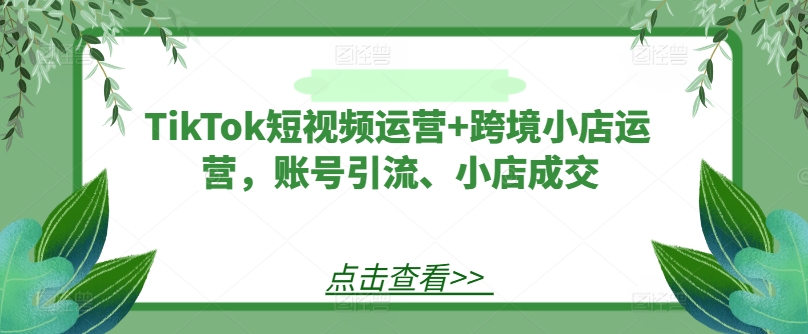 TikTok短视频运营+跨境小店运营，账号引流、小店成交_就是爱分享