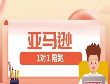 亚马逊1对1陪跑课(FBA/FBM精铺)跨境亚马逊教程_就是爱分享