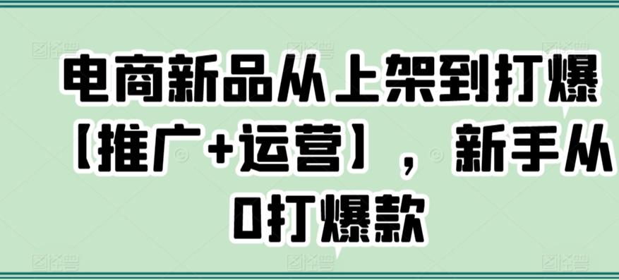 电商新品从上架到打爆【推广+运营】，新手从0打爆款_就是爱分享