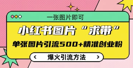 小红书图片‘求带’爆火引流法，单张图片引流500+精准创业粉【揭秘】_就是爱分享