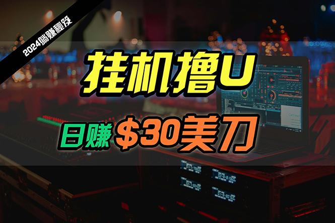 (10013期)日赚30美刀，2024最新海外挂机撸U内部项目，全程无人值守，可批量放大_就是爱分享