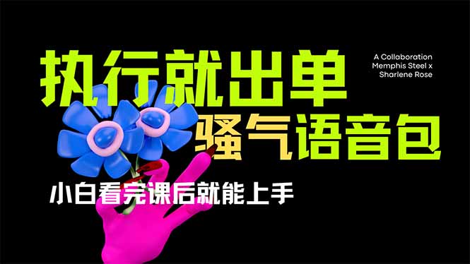 爆火全网的开车导航骚气语音包,只要执行就出单，小白看完课程就能实操..._就是爱分享